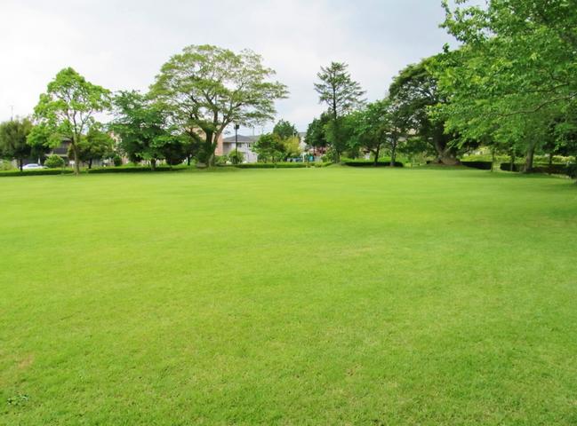 緑の広場
