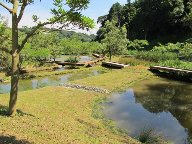 あらさわふる里公園　ビオトープ・農業体験エリア　棚池と木道