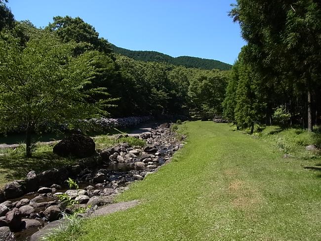 小川と遊歩道