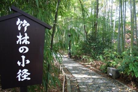 竹林の小道
